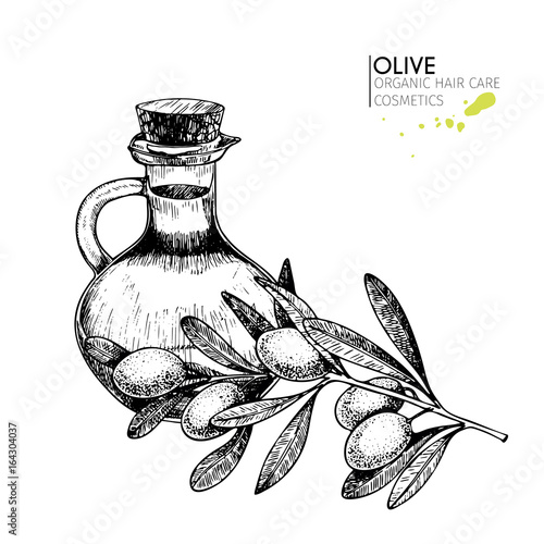 Vector set of hair care ingredients. Organic hand drawn elements. Farm market vegetables. Olive branch and bottle.