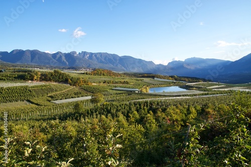 Val di NON Trentino paesaggi meleti