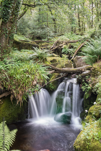 Small Waterfall