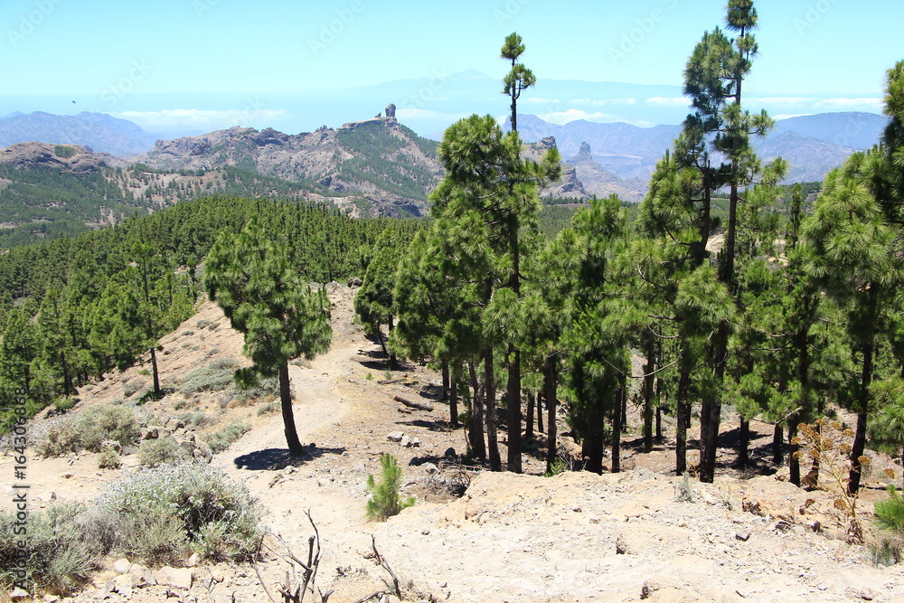 Gran Canaria Landschaft 