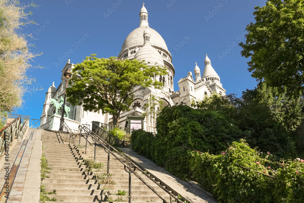 Fototapeta premium The basilica Sacre Coeur, Paris, France.