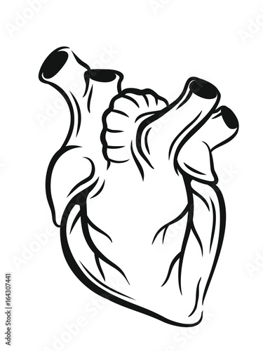 Vector medical heart