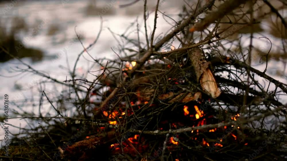 Bonfire from dry branches. Bright orange flames fly up, a man throws up firewood Bonfire from dry branches. Bright orange flames fly up, a man throws up firewood