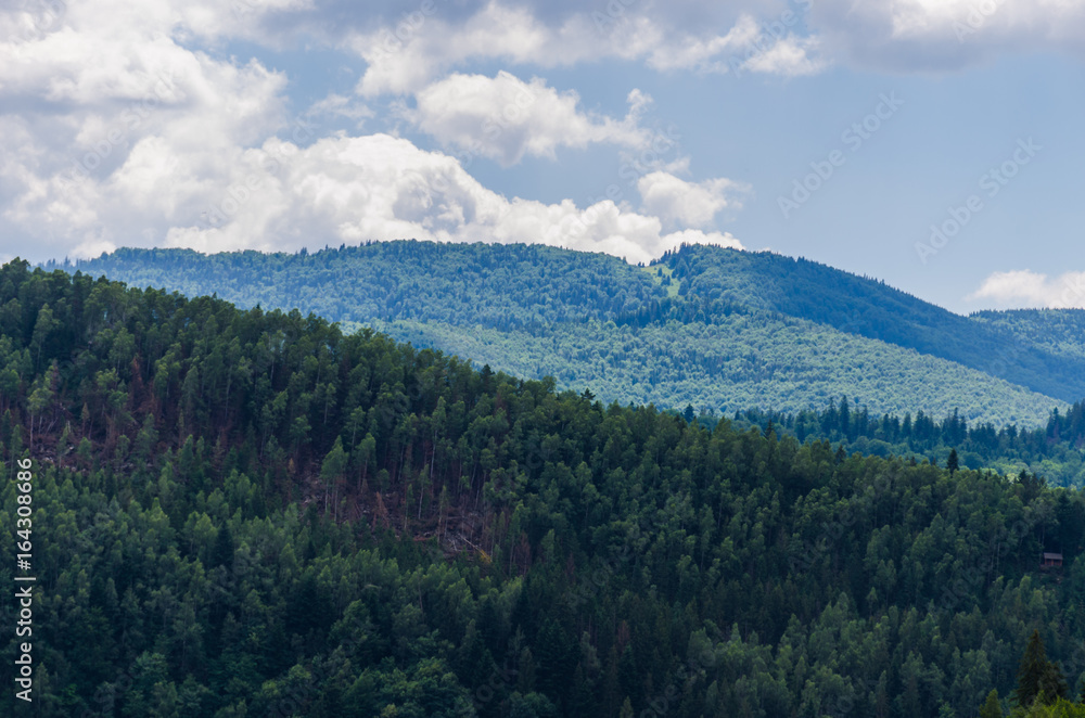 Carpathian mountains landscape view in Yaremche