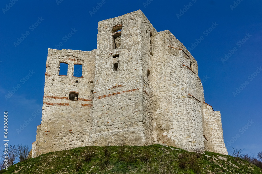 Castle ruins in Kazimierz Dolny, Poland