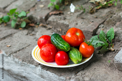 Fresh whole vegetables  cucumbers and tomatoes in a bowl