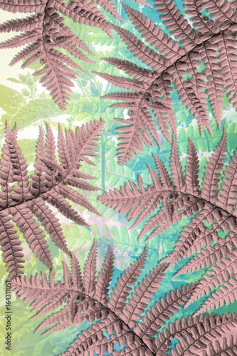 Artistic background with fern leaves