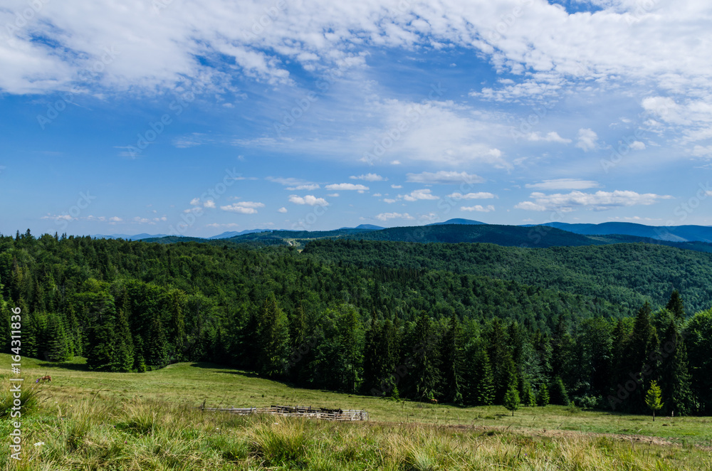 Carpathian mountains landscape view in Yaremche Carpathian mountains landscape view in Yaremche
