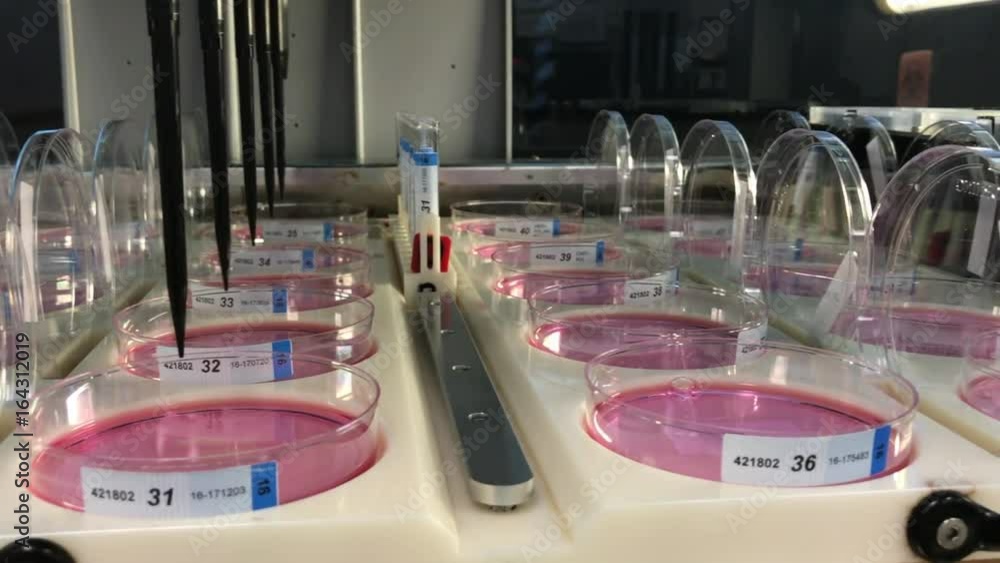 Video Stock A liquid handling instrument in a medical laboratory ...
