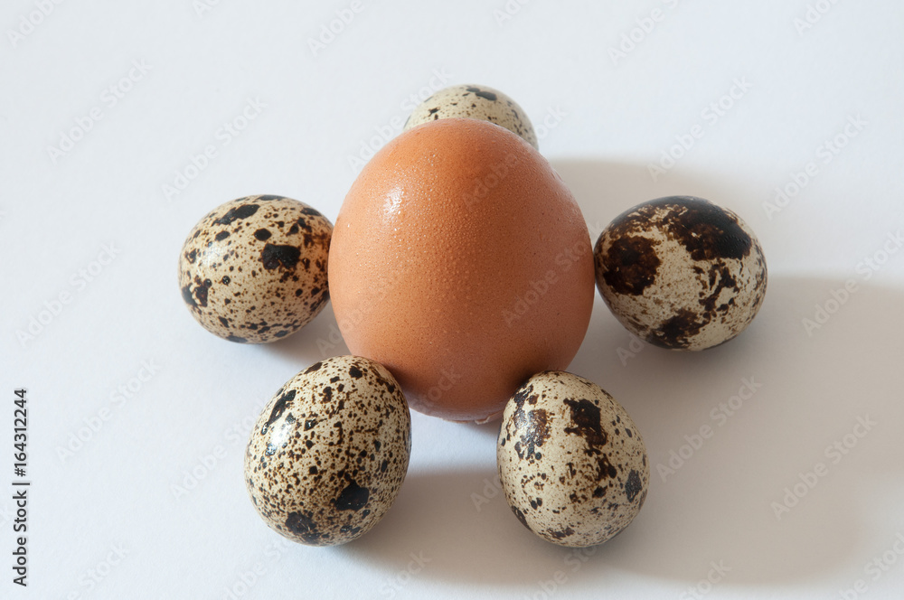Huevos de codorniz y de gallina Huevos de codorniz y de gallina