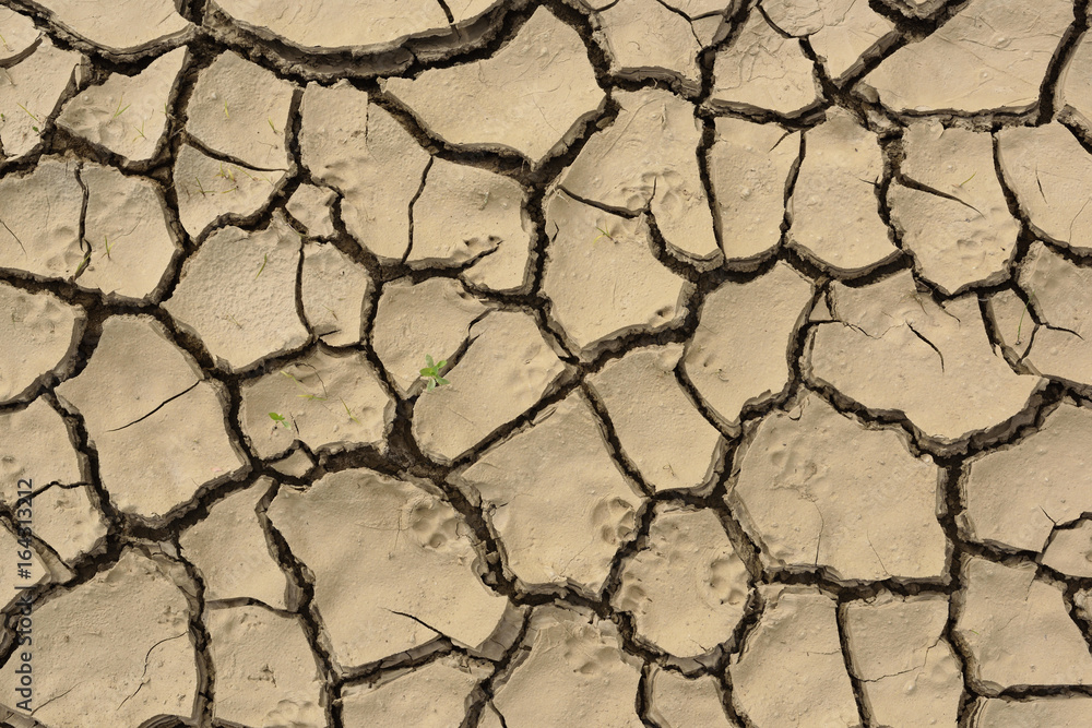 Cracked drought muddy soil background. Ecological catastrophe and global warming Cracked drought muddy soil background. Ecological catastrophe and global warming