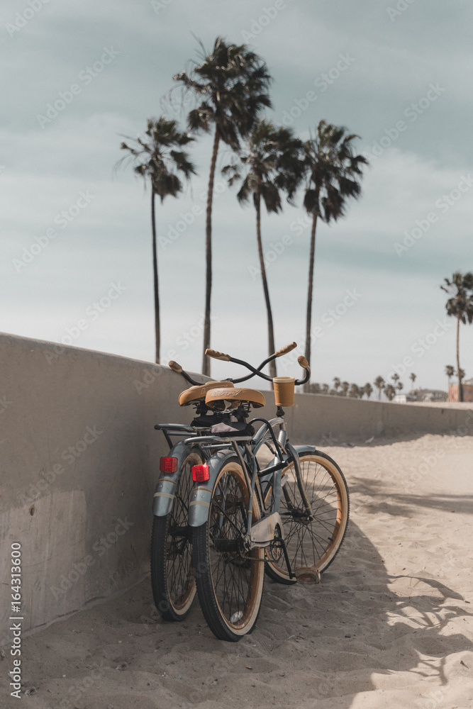 Fototapeta premium Lifestyle Photos