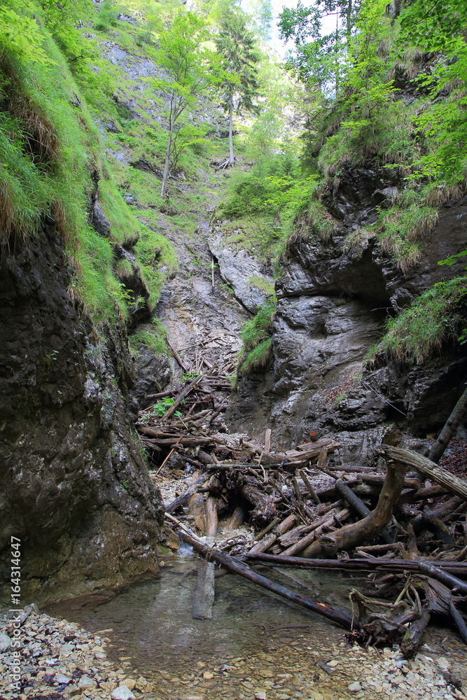 Fototapeta premium Kysel ravine in Slovak Paradise National park, Slovakia