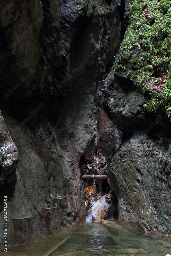Obraz premium Wąwóz Kysel w Parku Narodowym Słowacki Raj, Słowacja