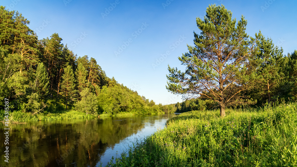 летний пейзаж на берегу реки Иртыш с растительностью, Россия, Урал