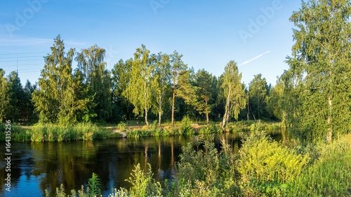 летний пейзаж на берегу реки Иртыш с растительностью, Россия, Урал