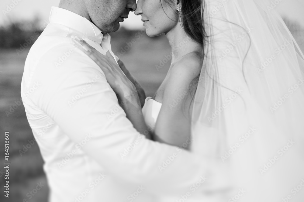 Wedding - the groom and the bride, portrait of loving young happy couple Wedding - the groom and the bride, portrait of loving young happy couple