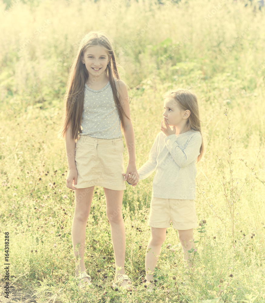 Fototapeta premium sibling sisters hugging each in the field