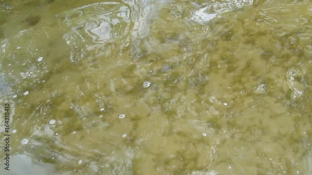 Female feet play with calm clear water on the yellow sandy bottom - 34s. A woman with a red pedicure splashes the water with her feet Female feet play with calm clear water on the yellow sandy bottom - 34s. A woman with a red pedicure splashes the water with her feet