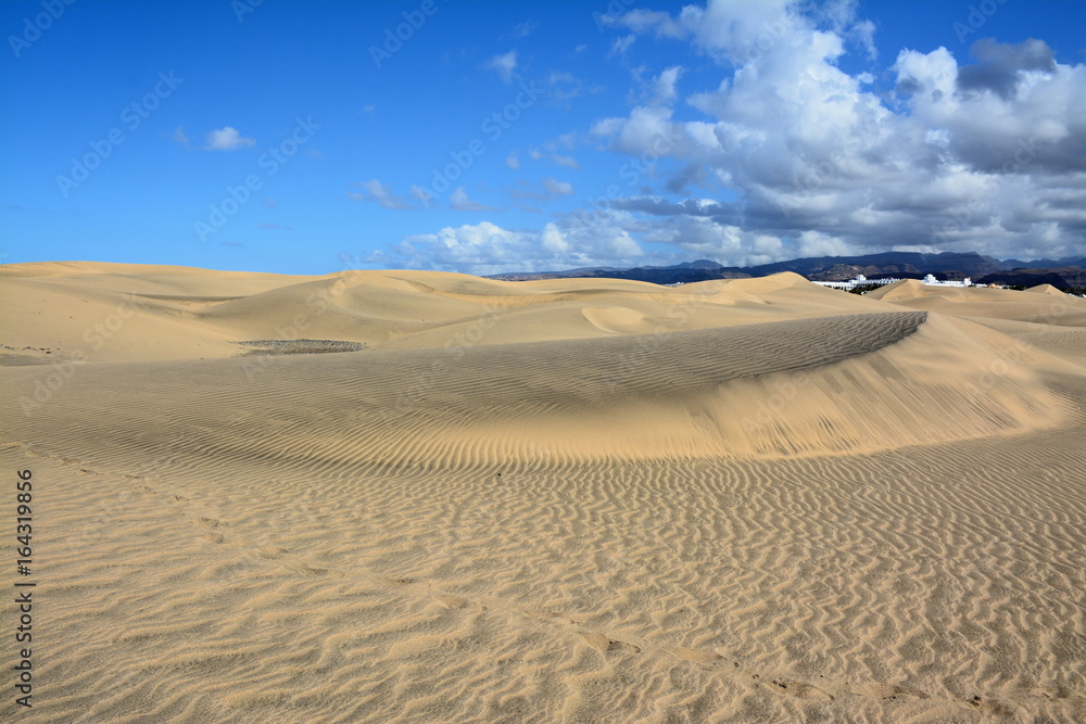 Desert by the sea, sand dunes in Maspalomas, Gran Canaria, Spain

