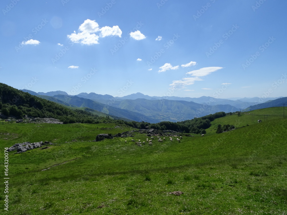 La Pierre Saint Martin, Pyrénées Atlantiques, paysage d'été 