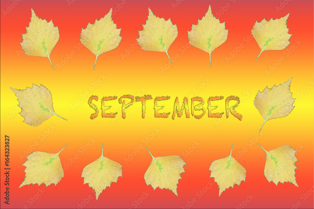 Frame of yellow leaves. September
