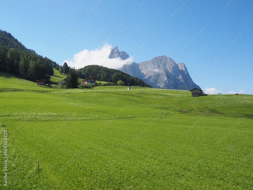 Obraz premium Dolomiti