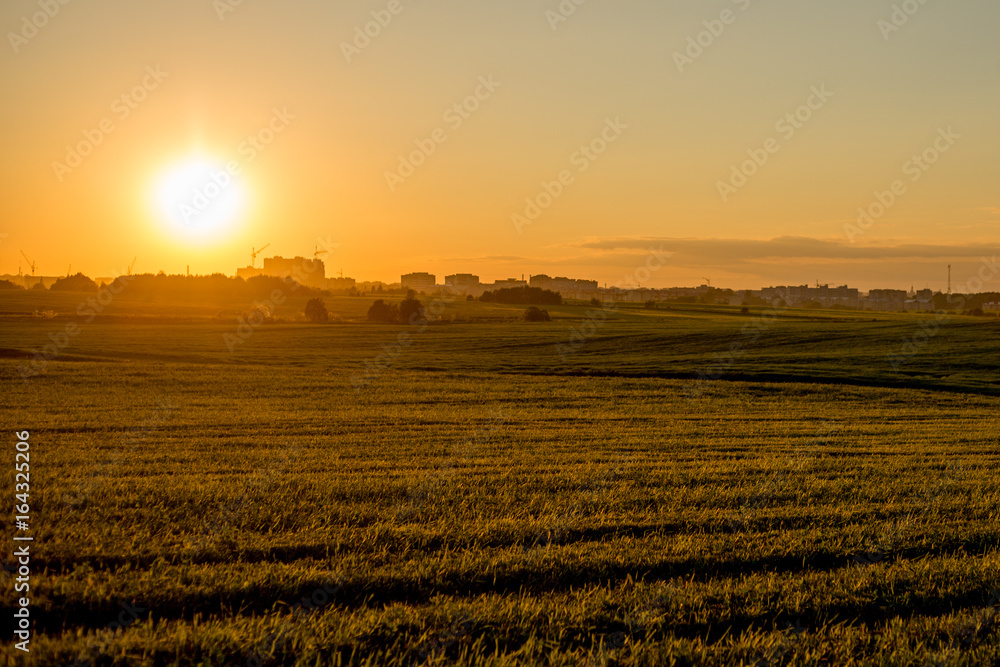 Sunset in field on background of the city