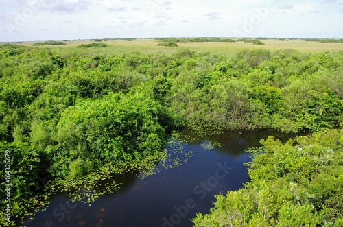 les Everglades vers shark valley