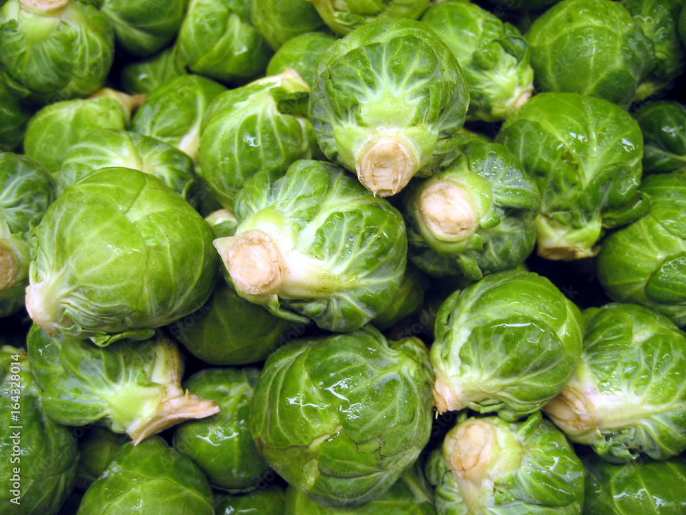Fototapeta premium Lots of fresh picked brussels sprouts