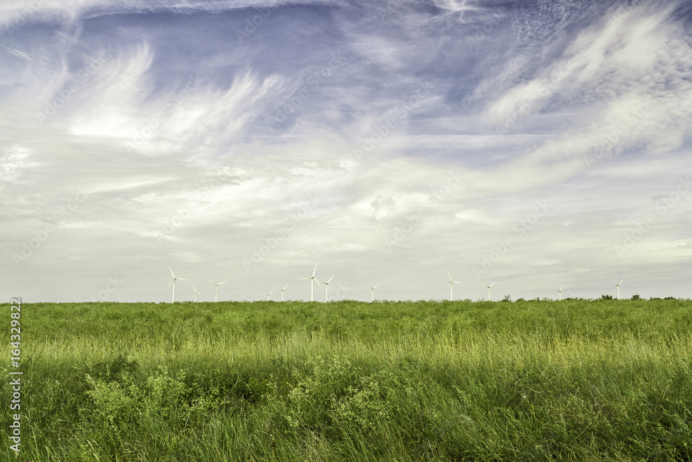 Fototapeta premium Wind Power Stations in Green Field