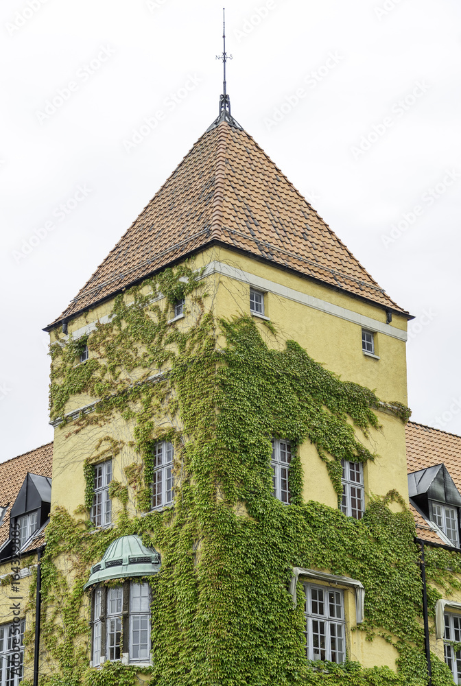 Old Building Covered in Vines