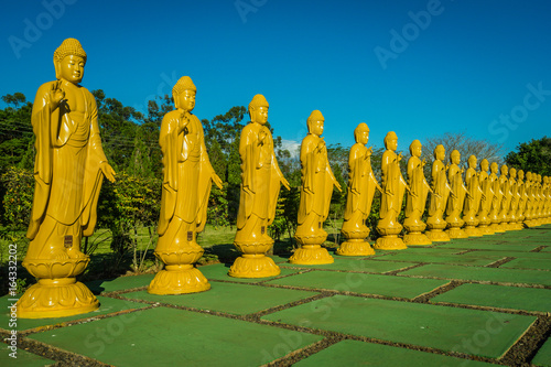 Statues of buddha