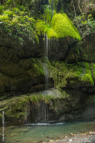 Fototapeta Naklejka Na Ścianę i Meble -  Patuna Falls