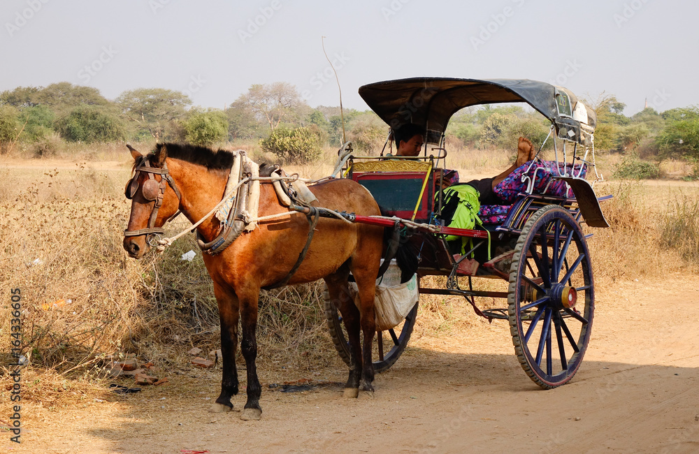 Horse cart carrying tourists in Bagan, Myanmar Horse cart carrying tourists in Bagan, Myanmar