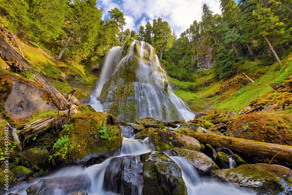 Fototapeta premium Upper Tier of Falls Creek Falls in Summer Washington State