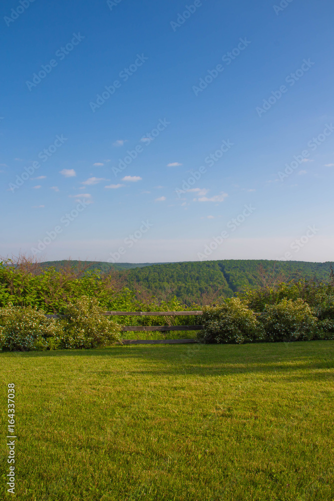 Obraz premium IMG_2580