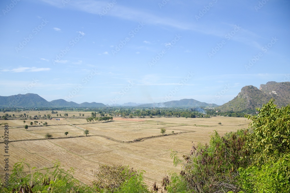 Fototapeta premium dry rice field in Kanchanaburi at Thailand
