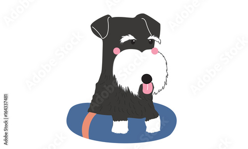 schnauzer dog gray color cartoon