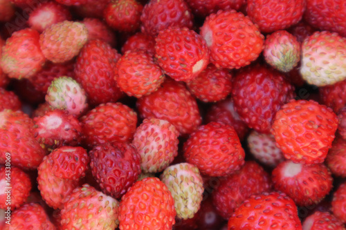 Strawberry background. Strawberry berries.