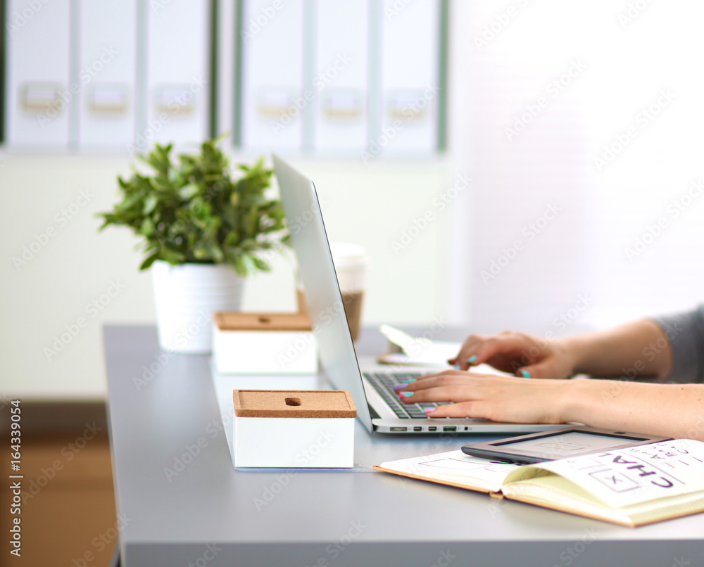 Fototapeta premium Young businesswoman working on a laptop