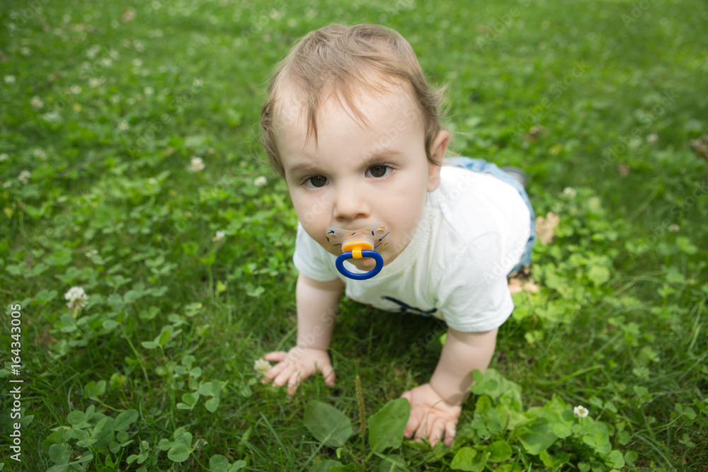 outdoor portrait of a baby crawling on the grass in a summer park outdoor portrait of a baby crawling on the grass in a summer park