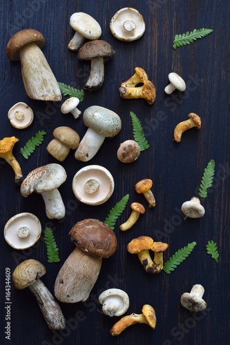 Foto Edible wild white mushrooms, boletus, russule, chanterelles on the wooden background