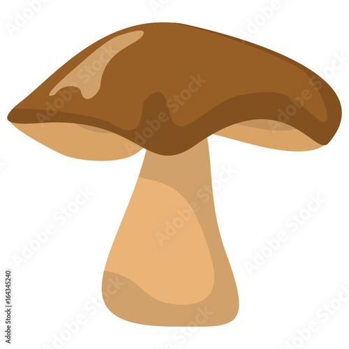 Mushroom with brown hat on white background element for mushroom design and web