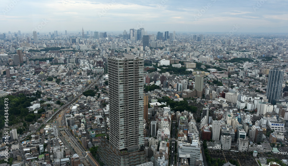 日本の東京都市景観（渋谷区や新宿区方面などを望む）