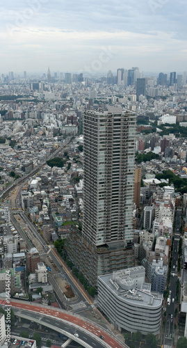 Fototapeta Naklejka Na Ścianę i Meble -  日本の東京都市景観（豊島区や新宿区などを望む）
