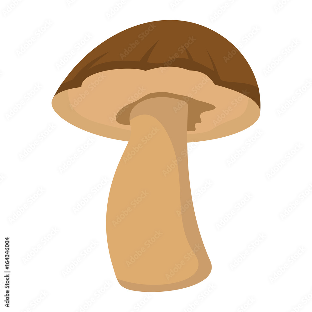 Mushroom with brown hat on white background element for mushroom design and web Mushroom with brown hat on white background element for mushroom design and web