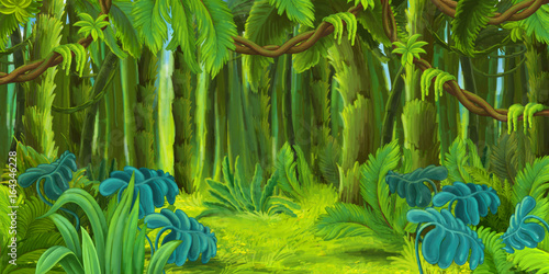 Fototapeta Naklejka Na Ścianę i Meble -  Cartoon nature scene - jungle - illustration for children