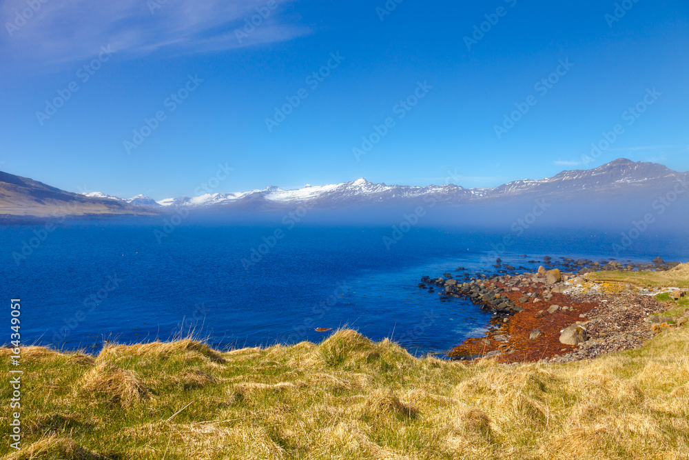 Fototapeta premium Grass on the stony coast of the fjord in the east of Iceland