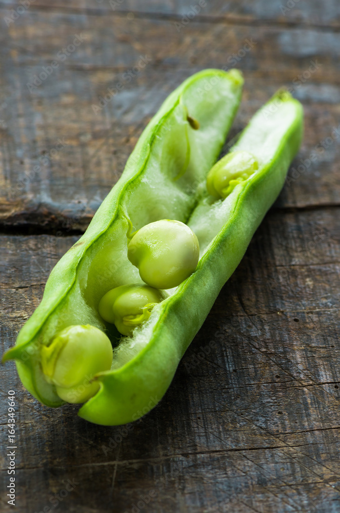 A fresh broad bean pod - closeup with selective focus A fresh broad bean pod - closeup with selective focus